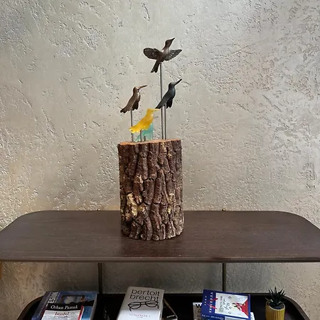 Smart And Simple Karakoy 호텔 이스탄불