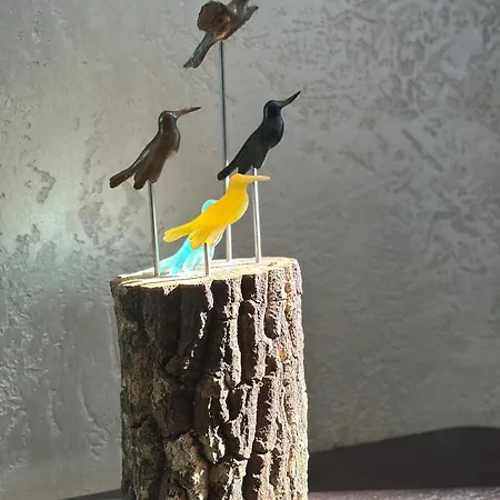 Smart&simple Karakoy Otel İstanbul