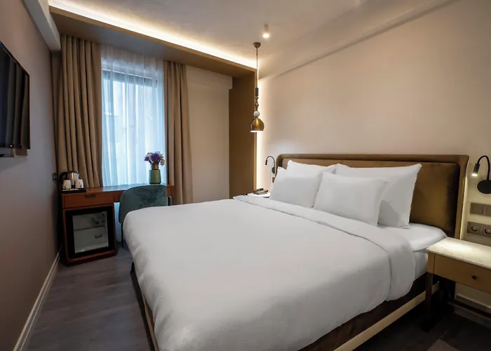 Smart And Simple Karakoy Ξενοδοχείο Κωνσταντινούπολη